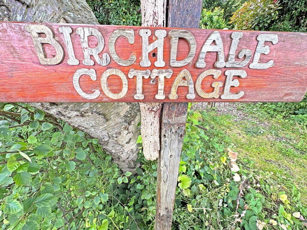 Thumbnail 21