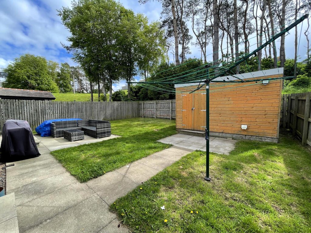 Thumbnail 99
