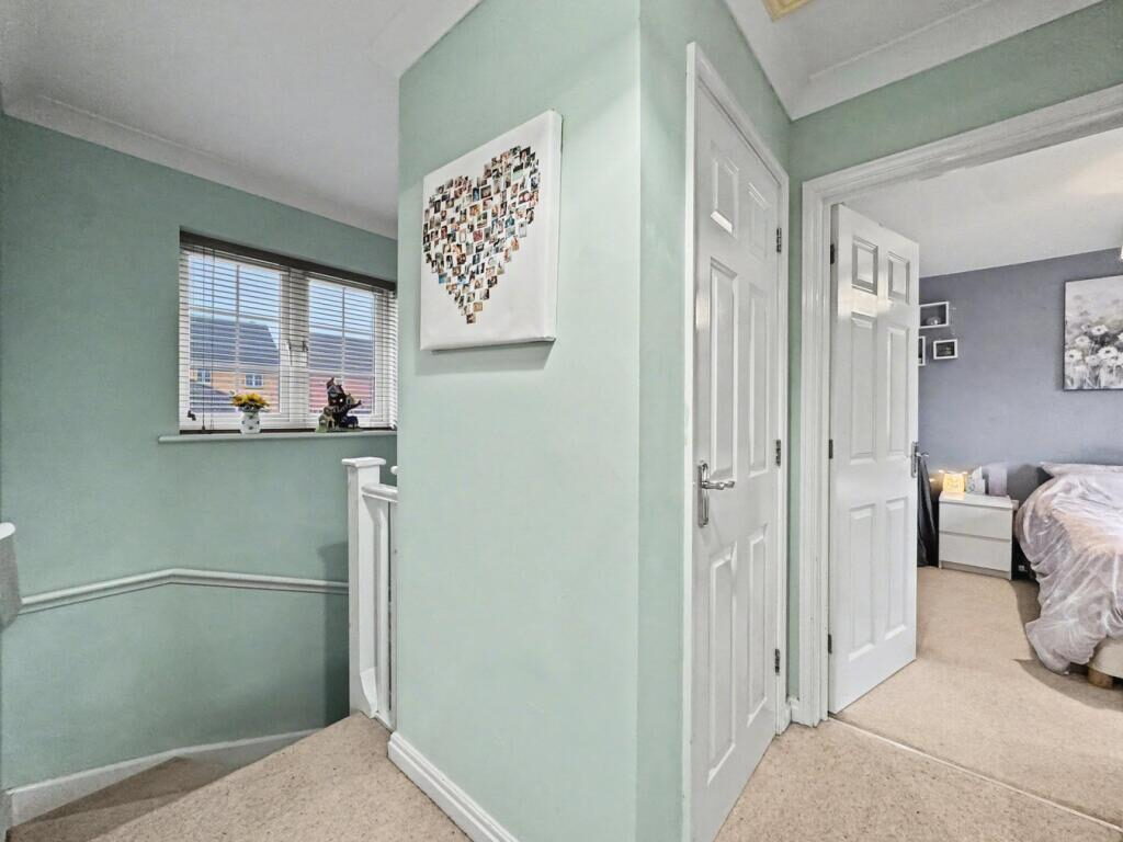 Thumbnail 12