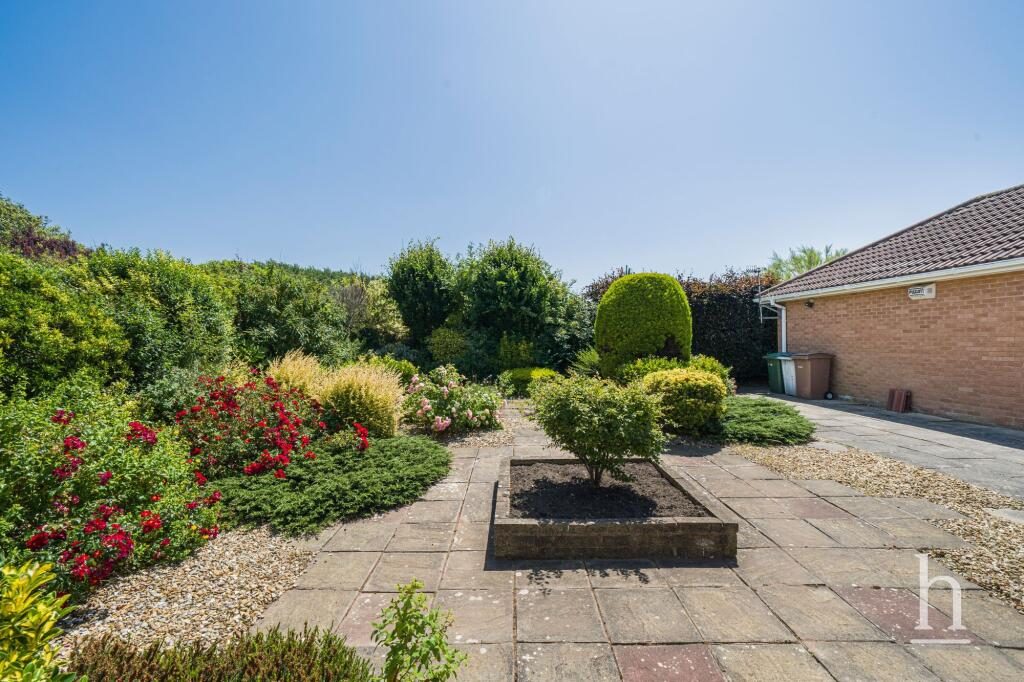 Thumbnail 34