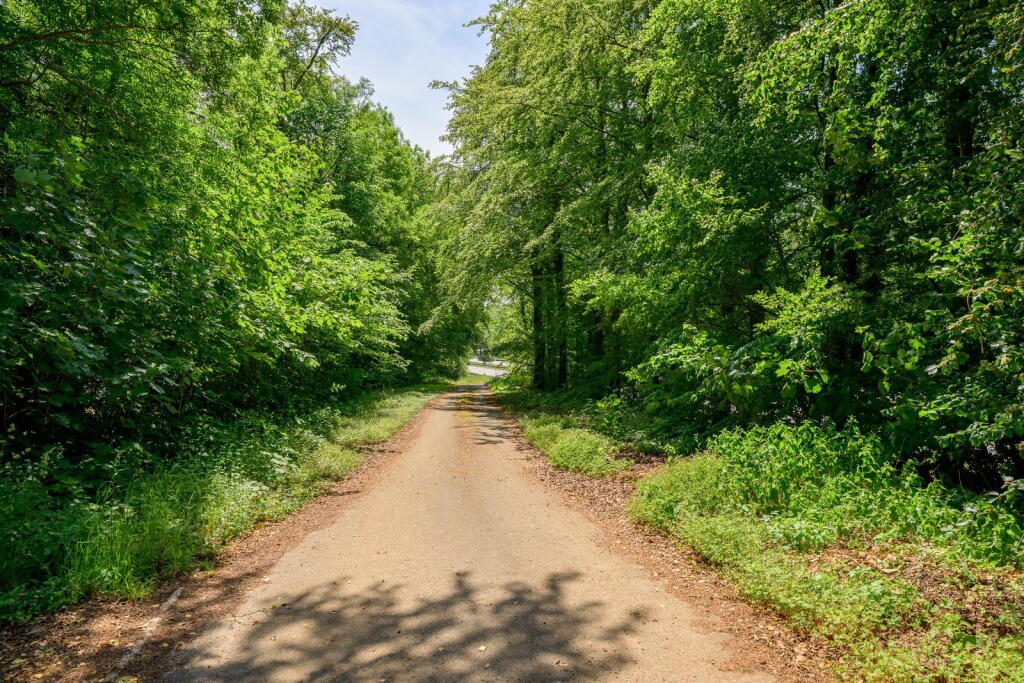 Thumbnail 99