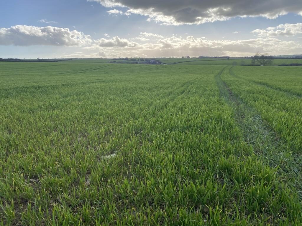 Farm Land