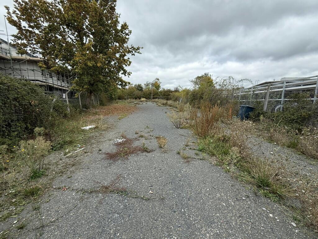 Industrial Development