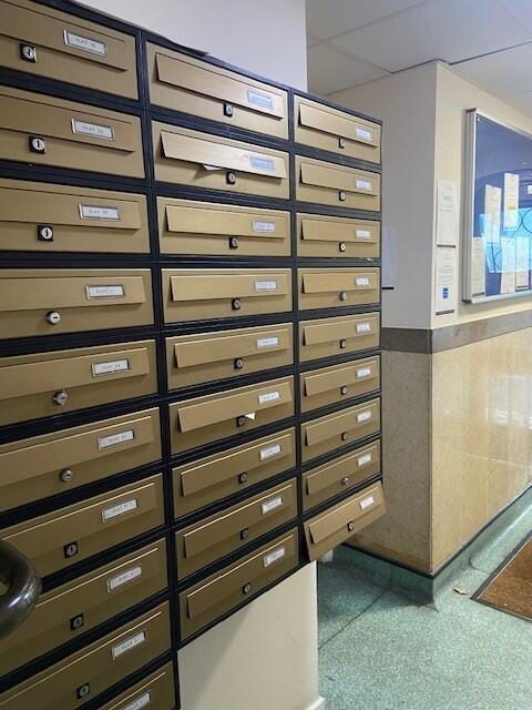 House Of Multiple Occupation