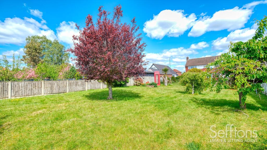 Thumbnail 17
