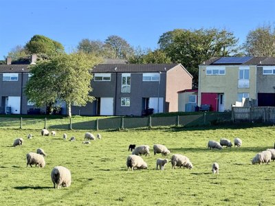 Property on Ffynnon Nefydd, LL16 5YE