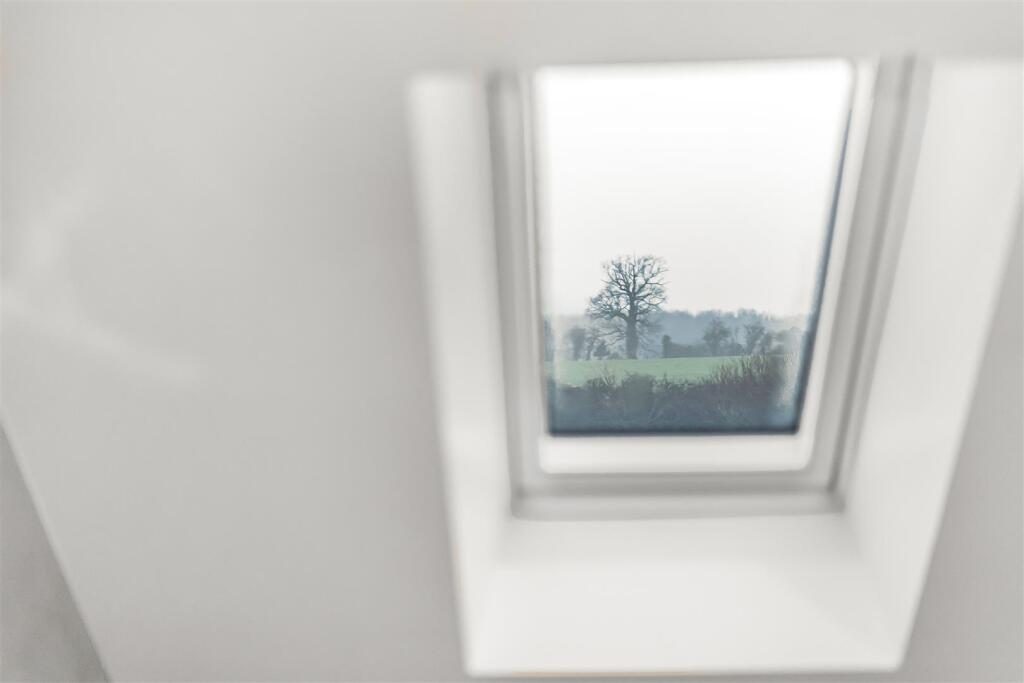 Thumbnail 15