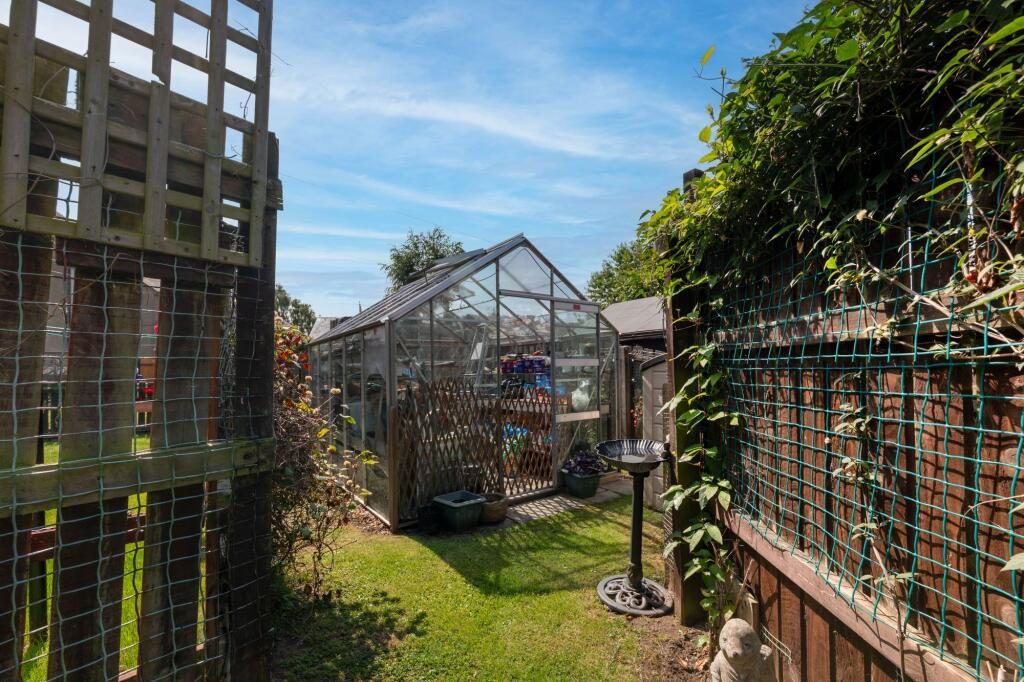 Thumbnail 19