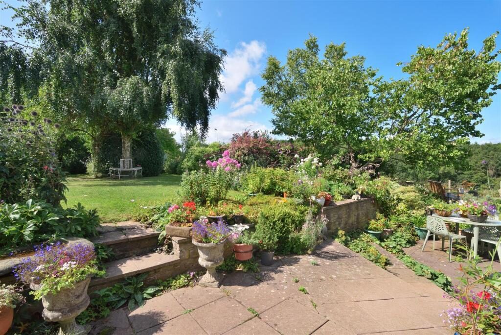 Thumbnail 22
