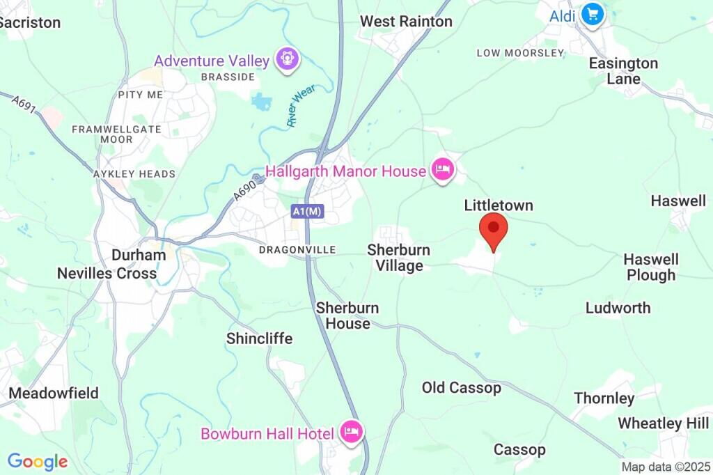 Thumbnail 13