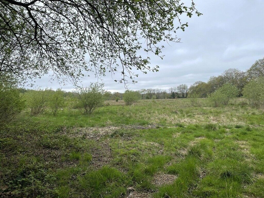 Land