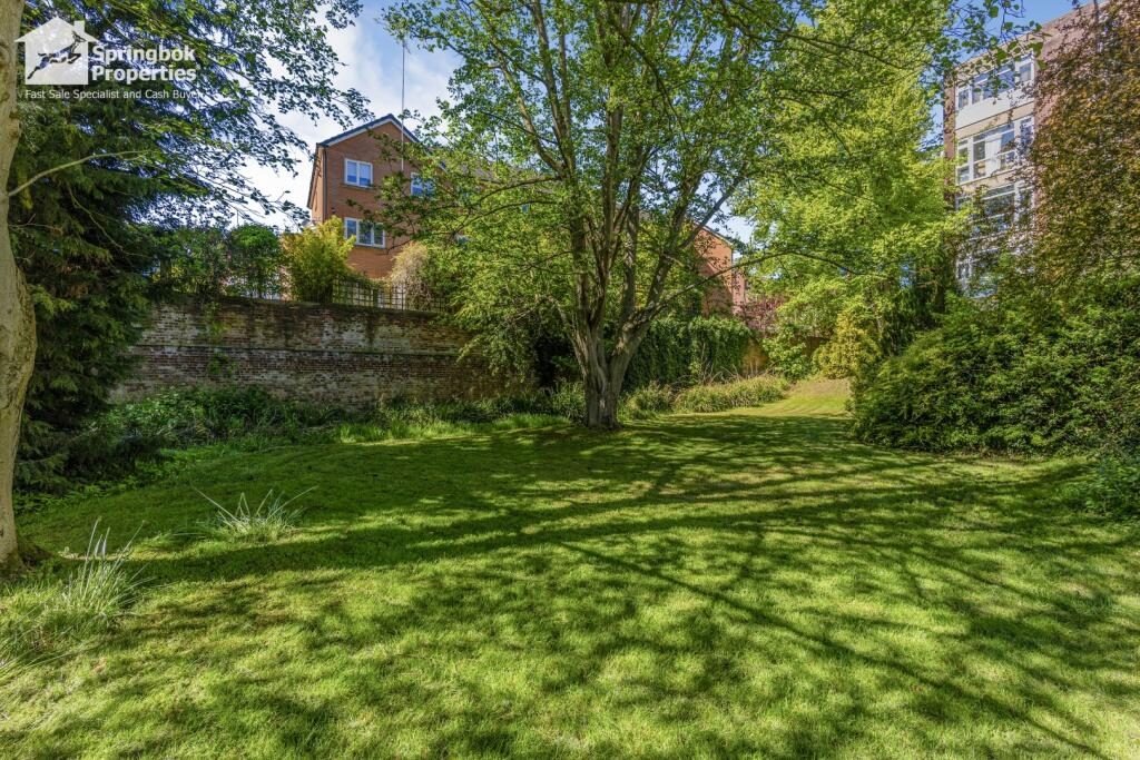 Thumbnail 16