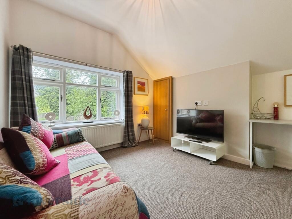 Thumbnail 13