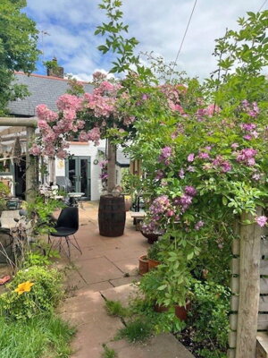 Property on Sandrocks Lane, TA24 6QW