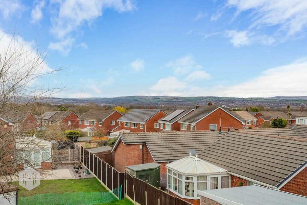 Thumbnail 36