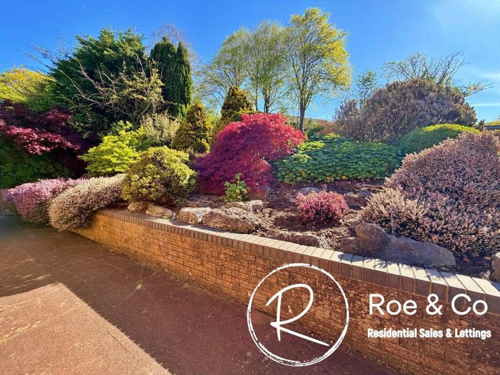 Thumbnail 81