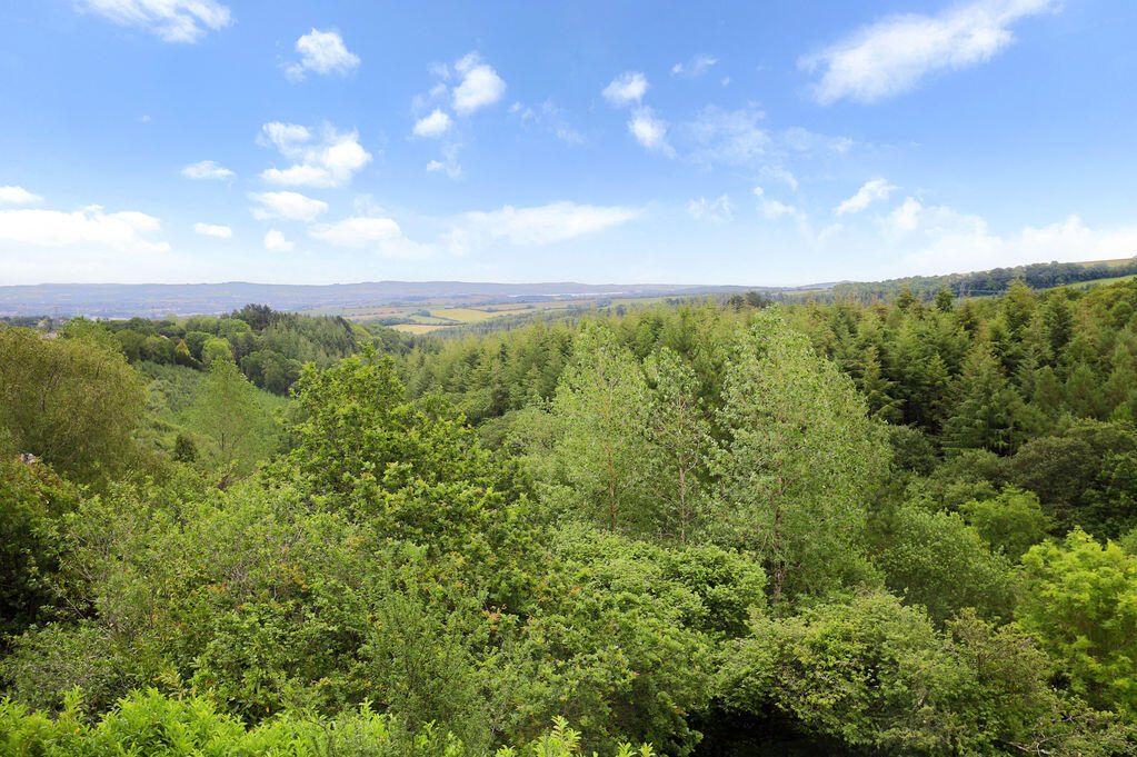 Thumbnail 29