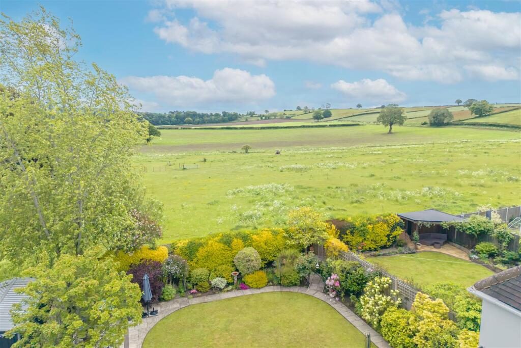 Thumbnail 37