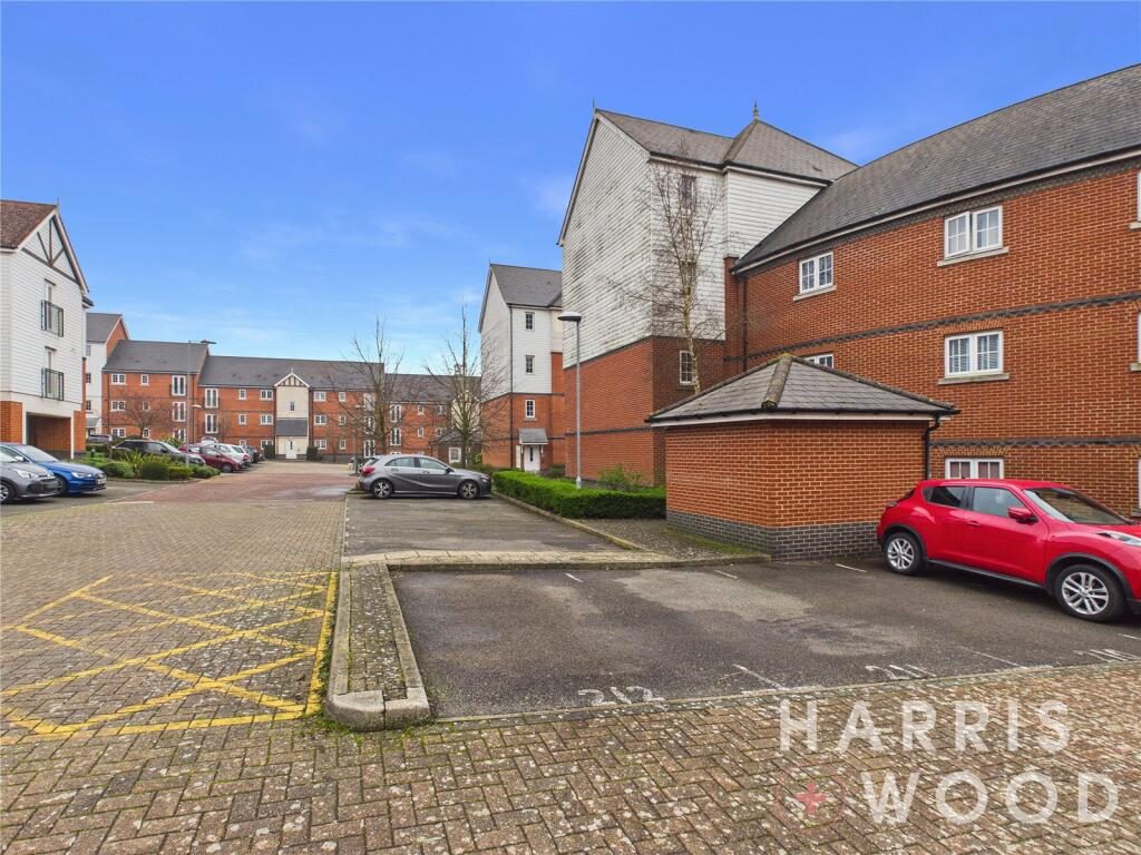 Thumbnail 41