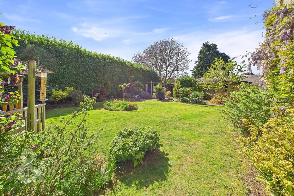 Thumbnail 31