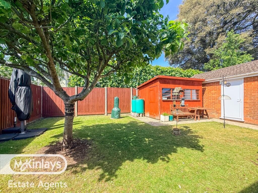 Thumbnail 42