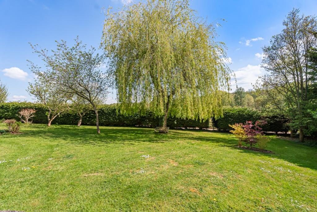 Thumbnail 42