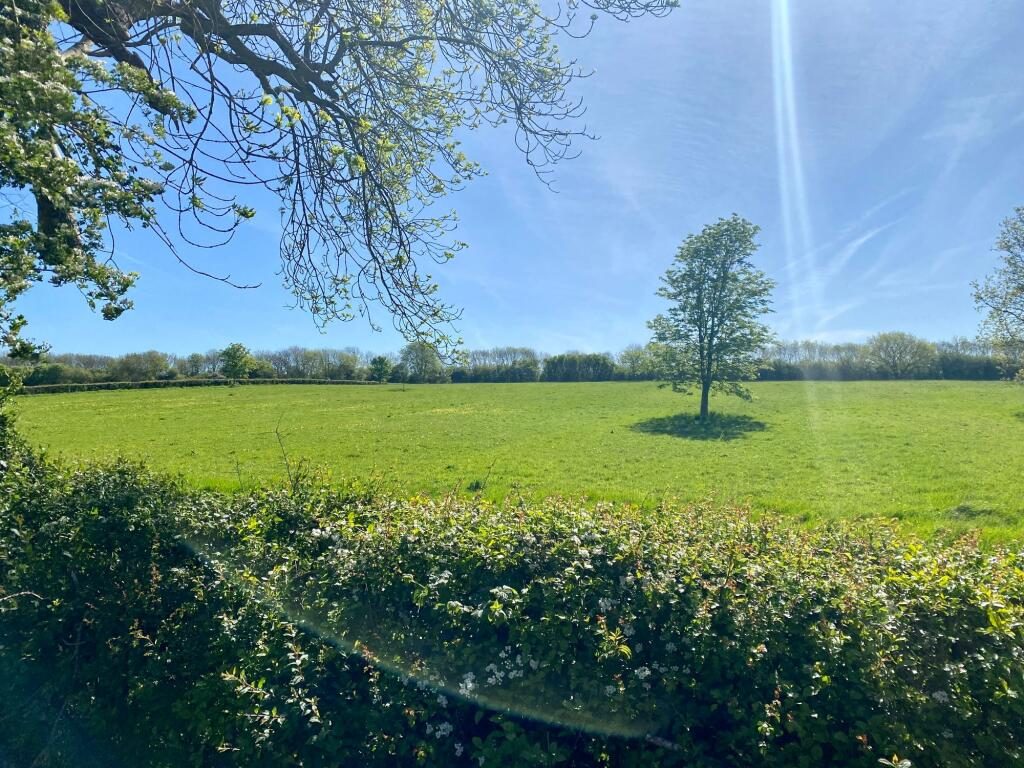 Thumbnail 21