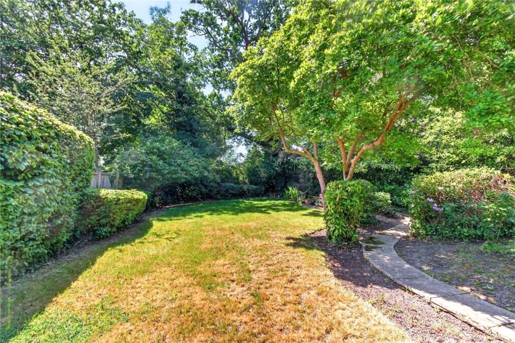 Thumbnail 17