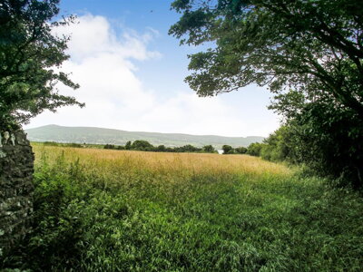 Property on SA42 0NT