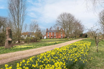 Property on Low Common Road, NR16 1SY