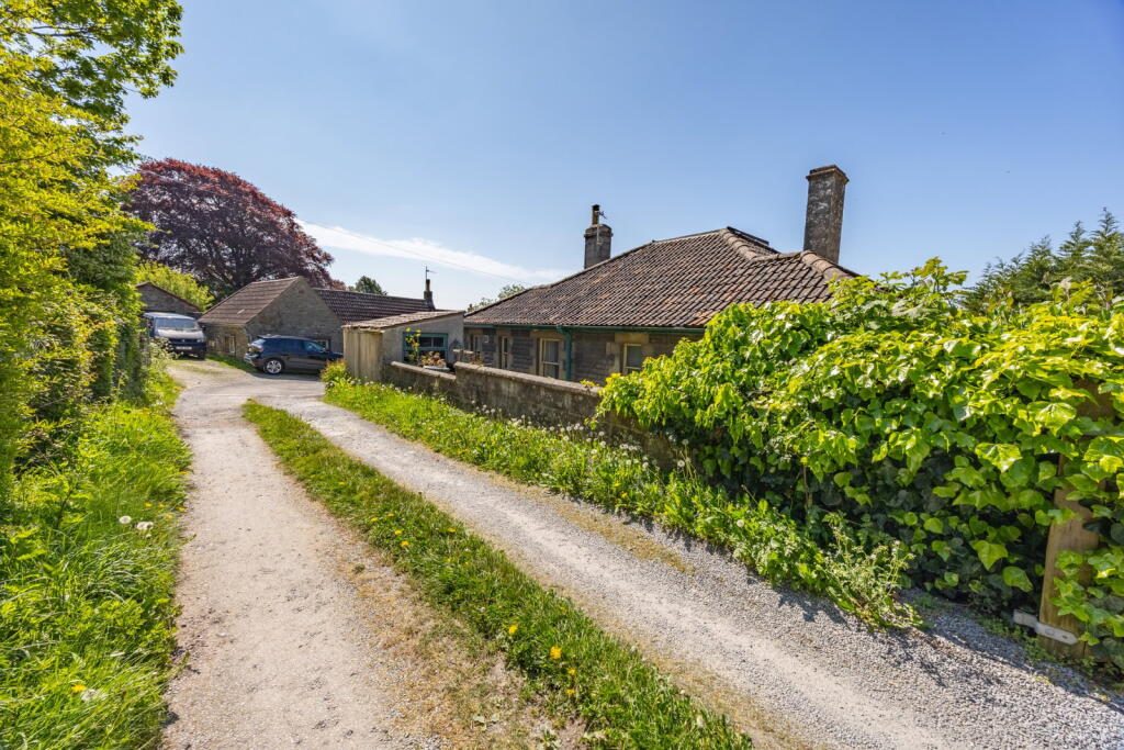 Thumbnail 62