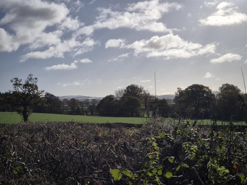 Thumbnail 39