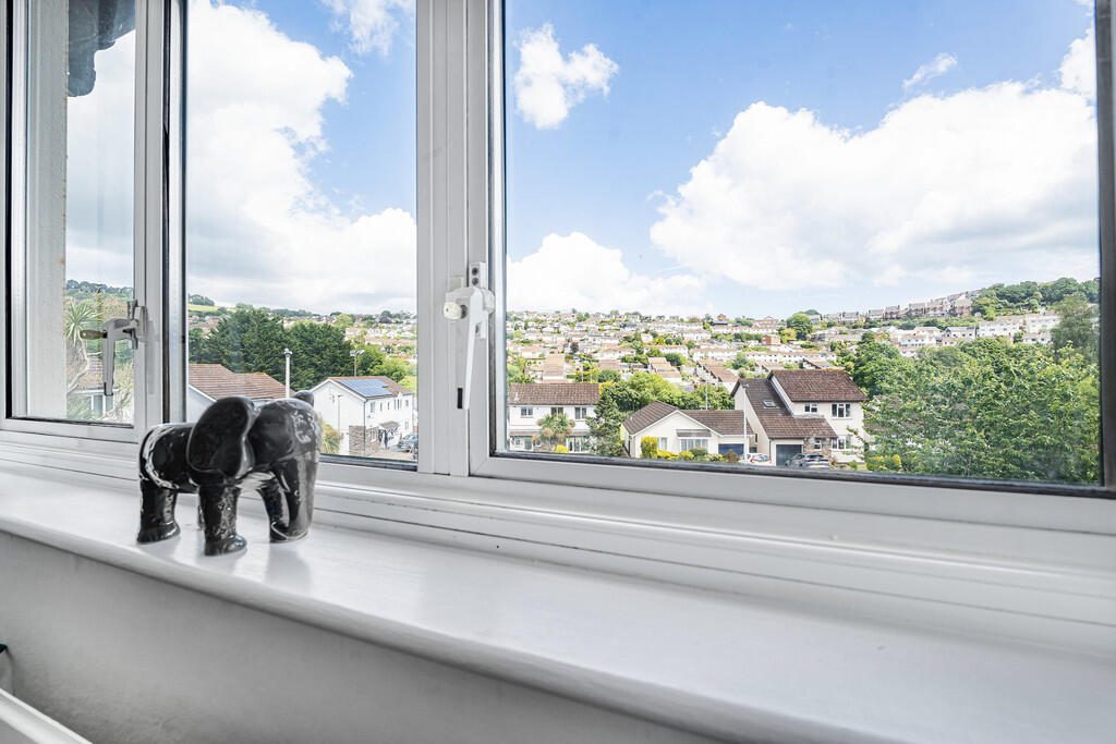 Thumbnail 13