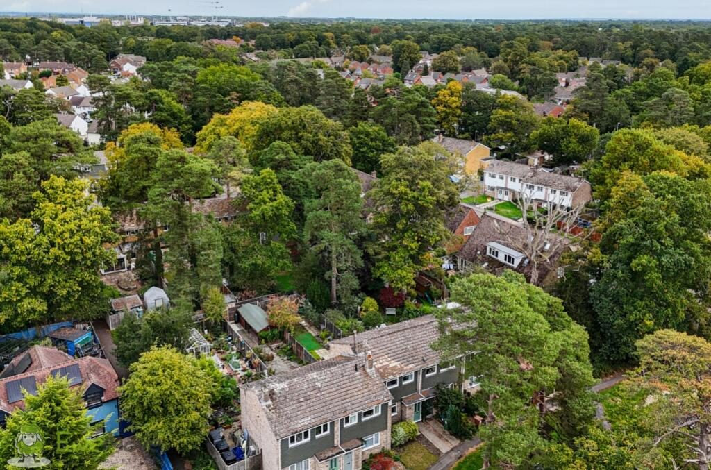Thumbnail 21