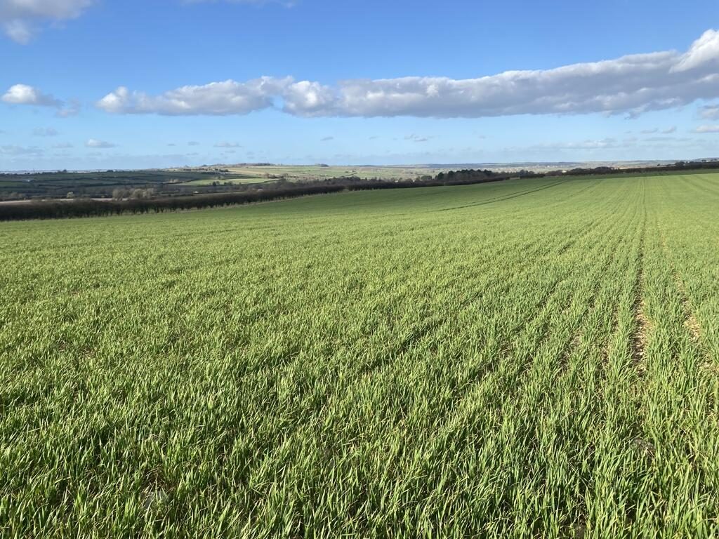 Farm Land