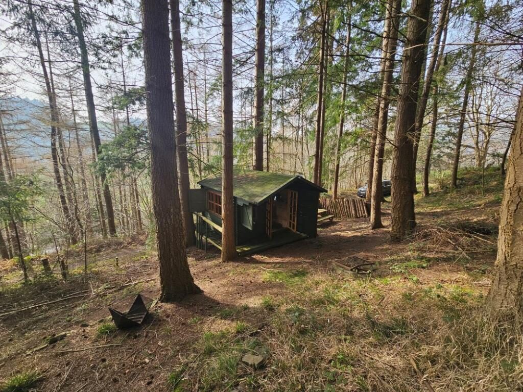Log Cabin