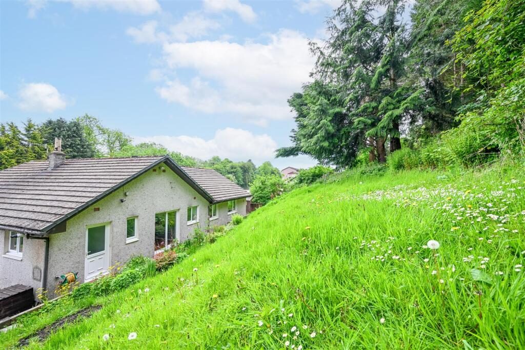 Thumbnail 49