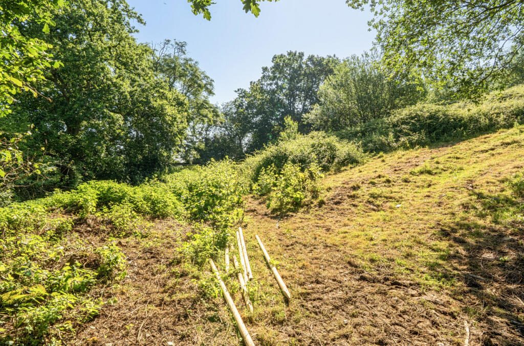 Thumbnail 19