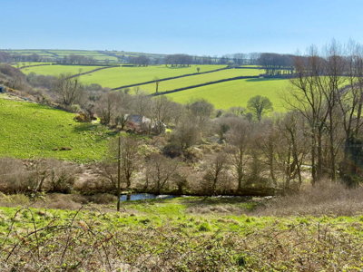 Property on High Street, PL32 9PQ