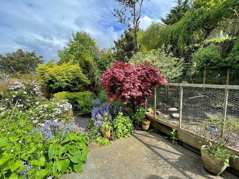 Thumbnail 22