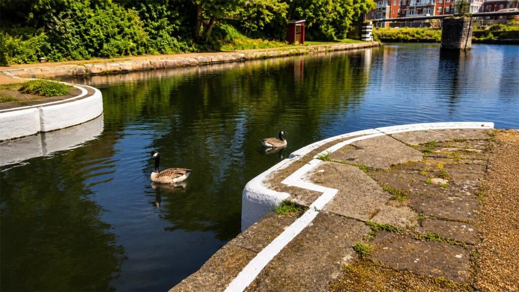 Thumbnail 29