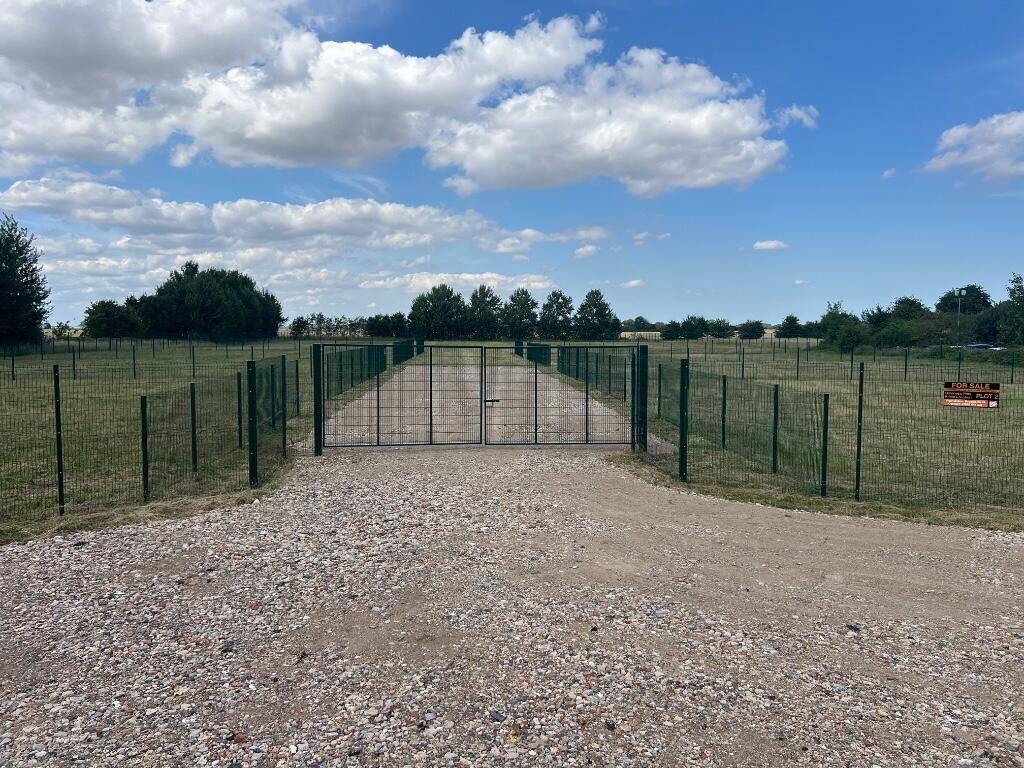 Industrial Development