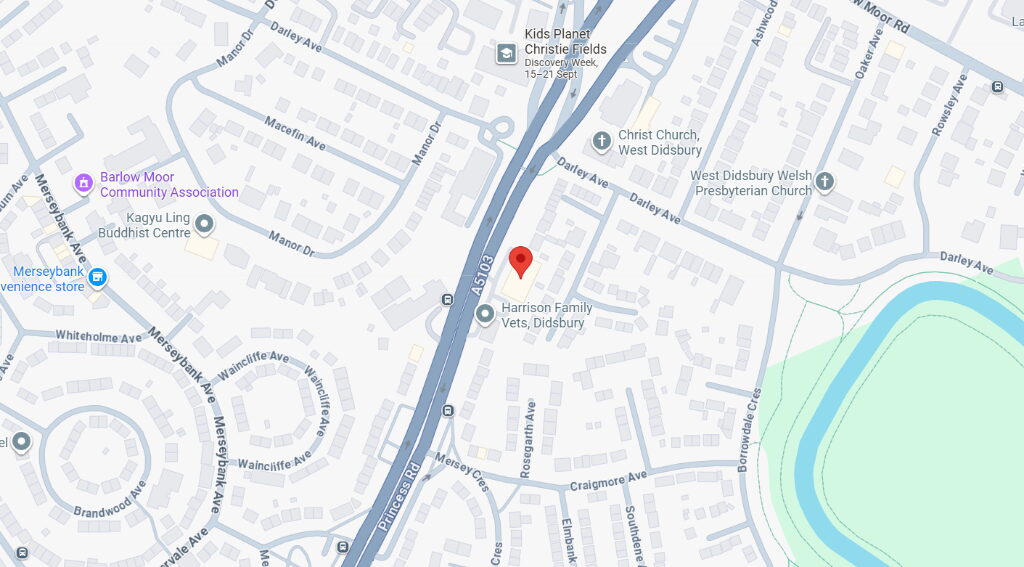 Retail Property (high Street)