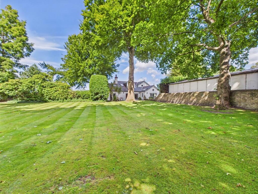 Thumbnail 67
