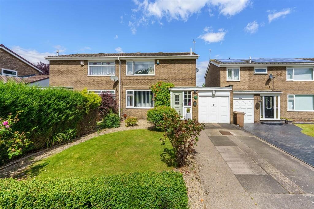 Thumbnail 29