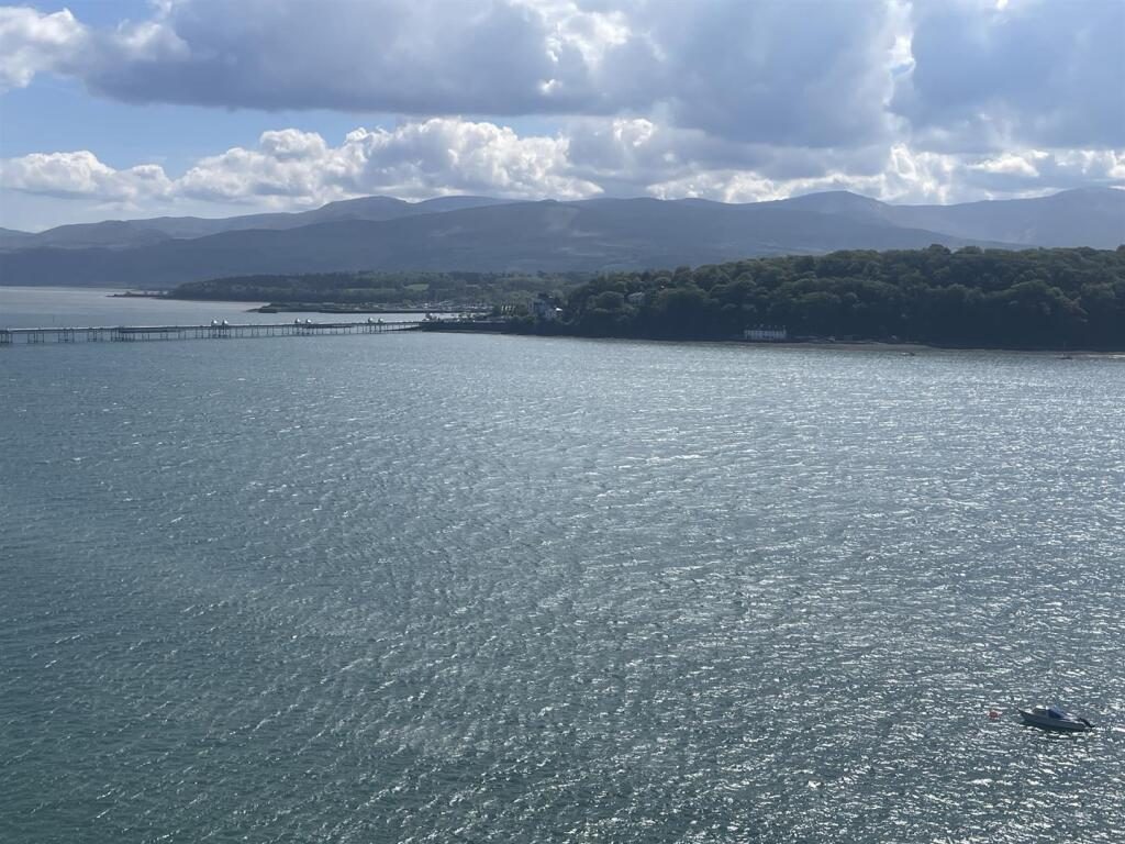 Thumbnail 14
