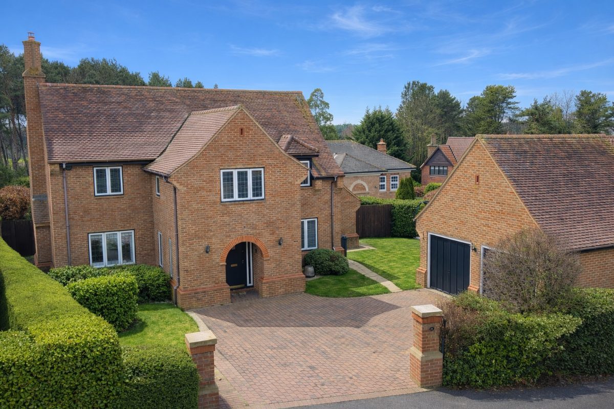 Thumbnail 29
