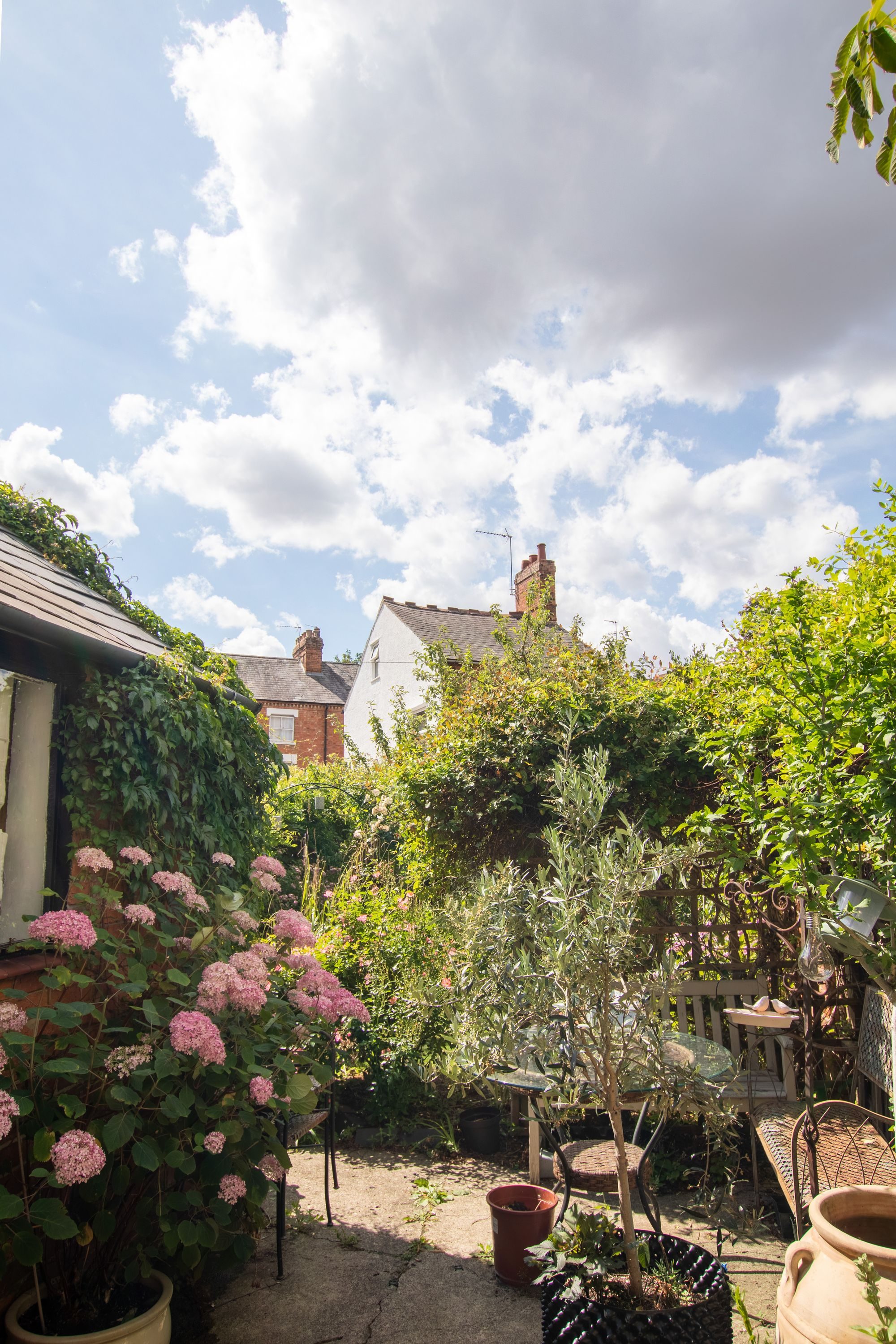 Thumbnail 10