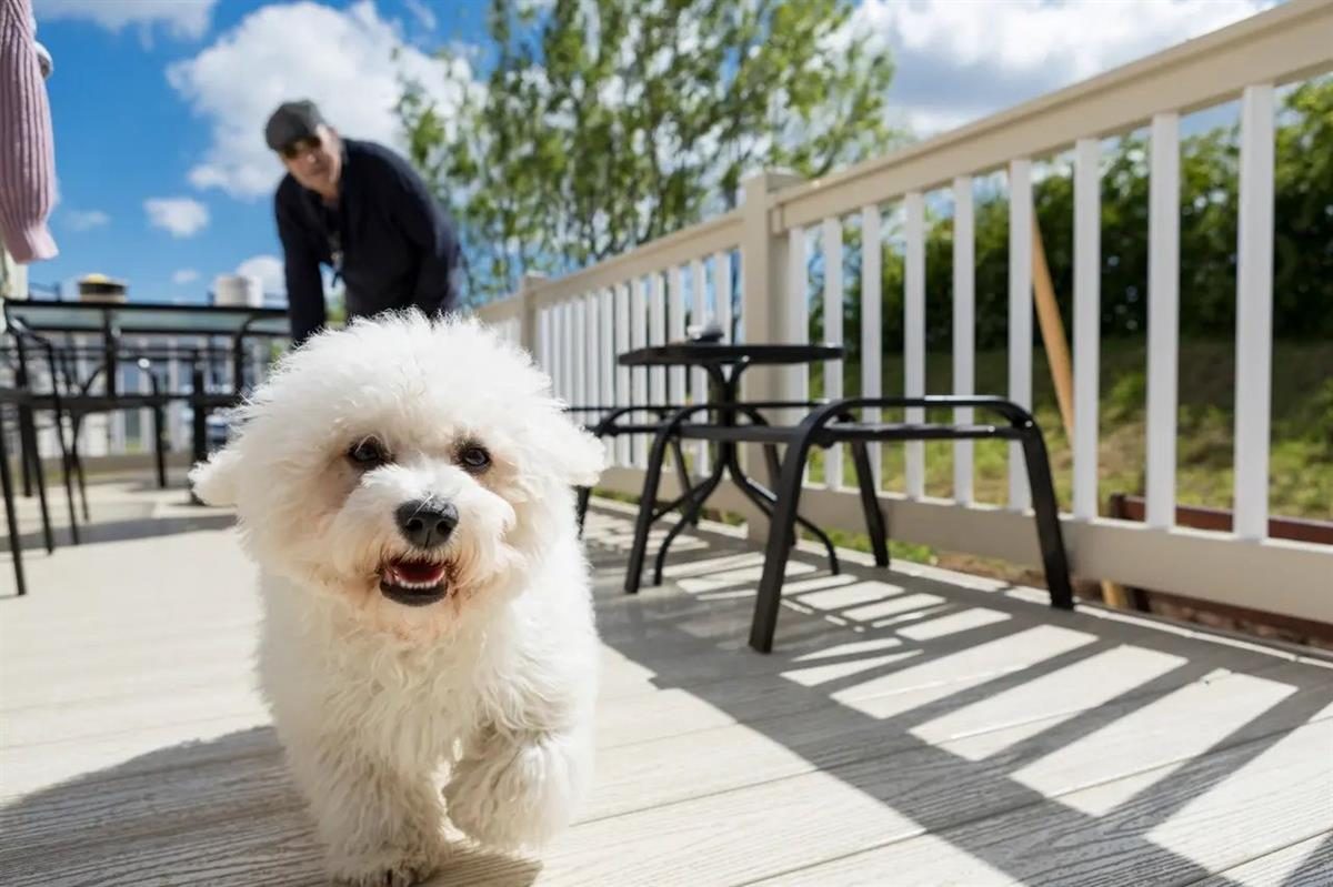 Thumbnail 790