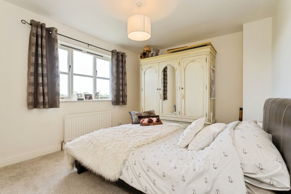 Thumbnail 15
